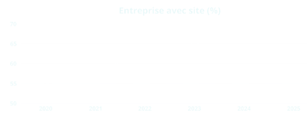 % entreprise avec site (fond)6